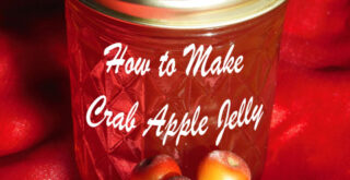 How to Make Crab Apple Jelly